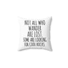 Funny Rock Collector Pillow, Geologist Gift, Geophysics Gift, Not All Who Wander are Lost, Rock Hunter Pillow With Insert, Rock Hound