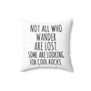 Funny Rock Collector Pillow, Geologist Gift, Geophysics Gift, Not All Who Wander are Lost, Rock Hunter Pillow With Insert, Rock Hound